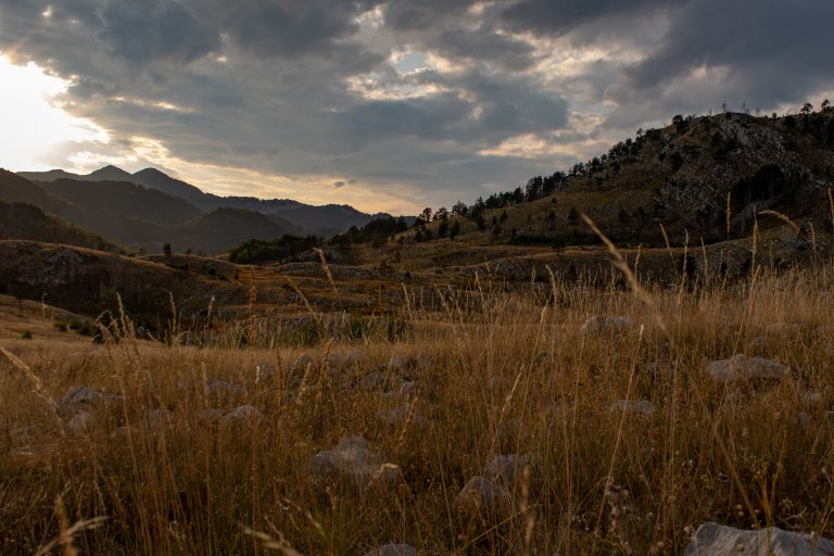 Očuvanje endemičnih biljnih vrsta na planini Orjen u Bosni i Hercegovini