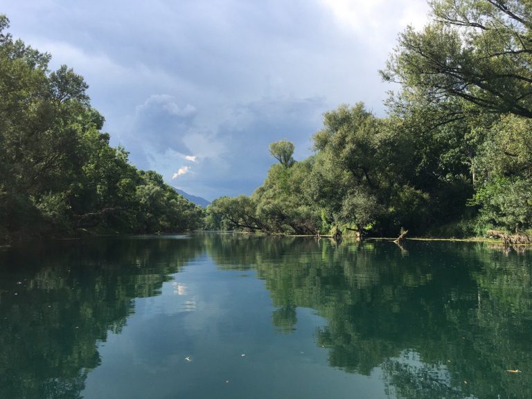 Projekat za balkanske vode – biomonitoring